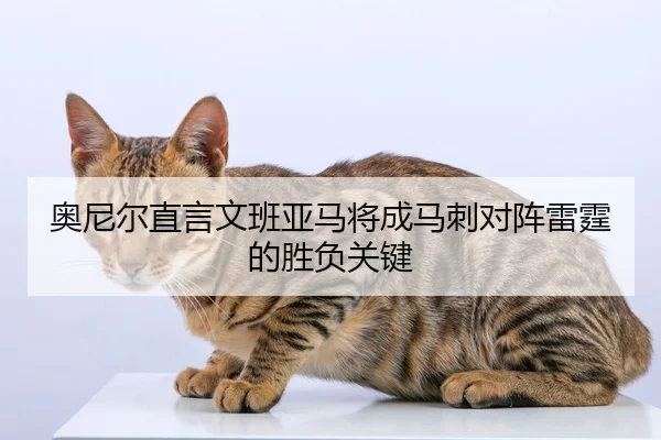 奥尼尔直言文班亚马将成马刺对阵雷霆的胜负关键 - www.hth.comapp