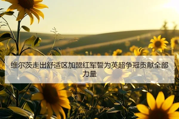 维尔茨走出舒适区加盟红军誓为英超争冠贡献全部力量 - www.hth.comapp