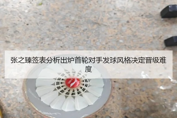 张之臻签表分析出炉首轮对手发球风格决定晋级难度 - www.hth.comapp